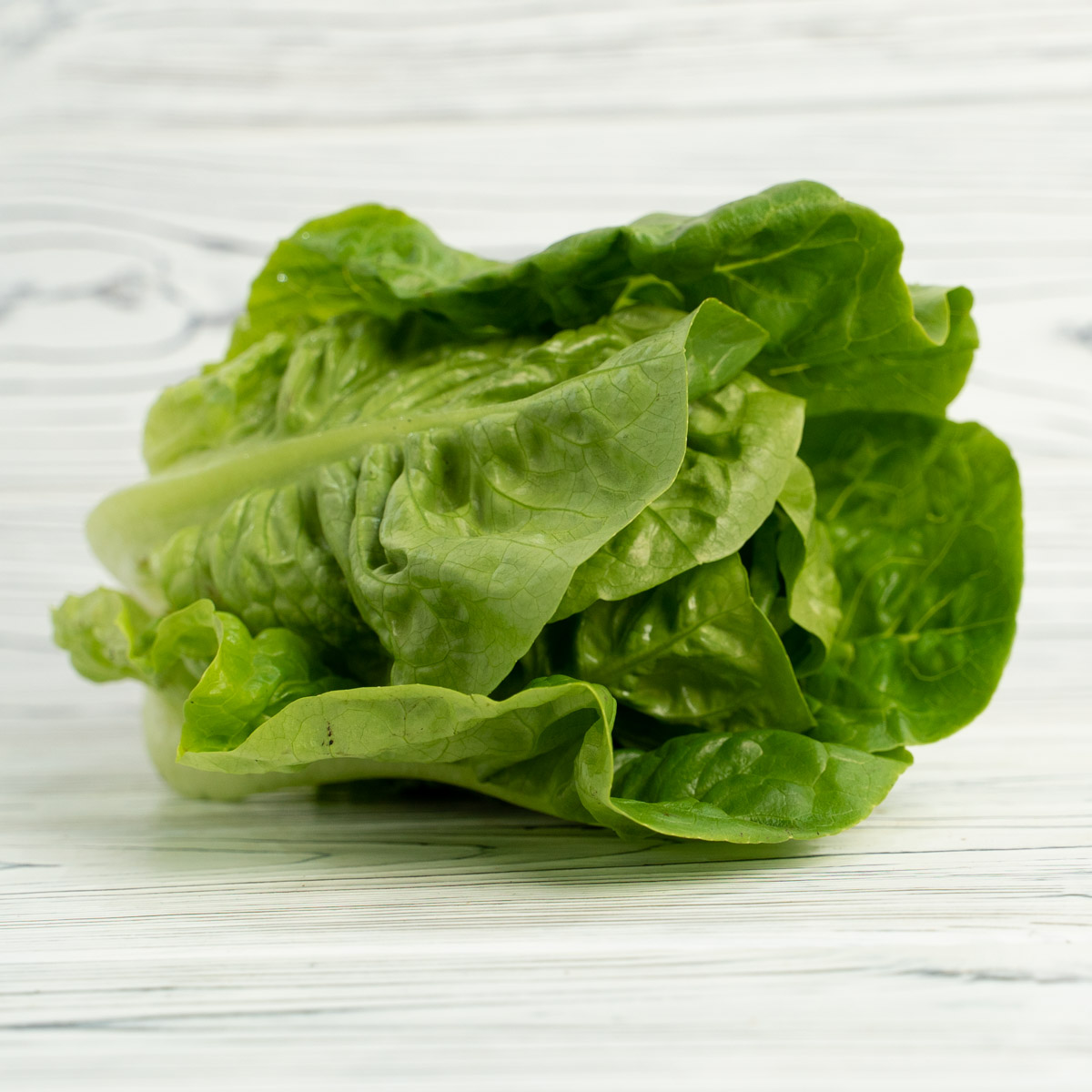 Gem Lettuce